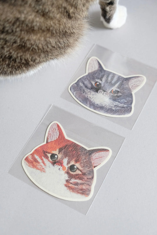 《以貓咪傳達愛》銀仔 - Workers Regain