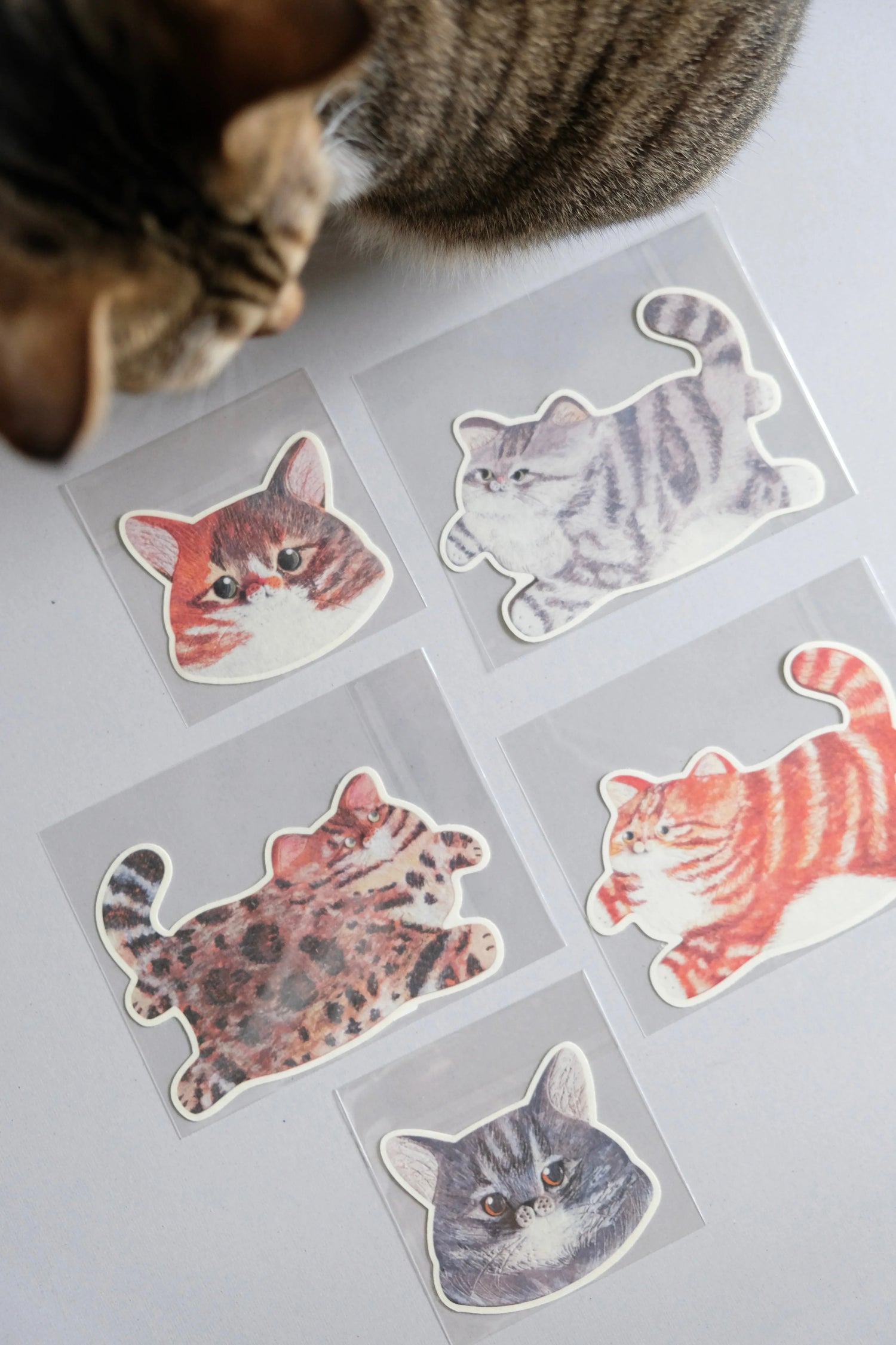 設計紙品 - Workers Regain